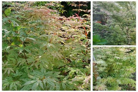 Photo of property in 128e Mauku Road, Patumahoe, Pukekohe, 2678