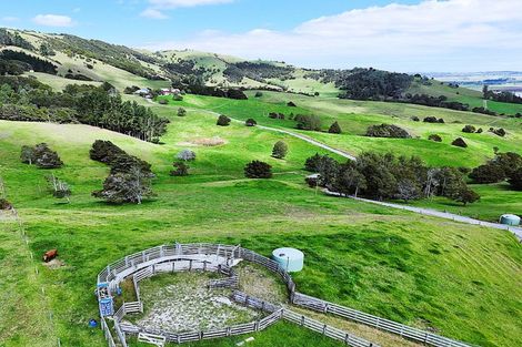 Photo of property in 136 Whakahara Road, Arapohue, Dargaville, 0370