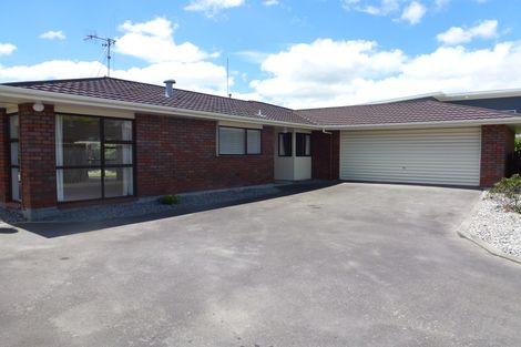 Photo of property in 205a Fitzherbert Avenue, West End, Palmerston North, 4410