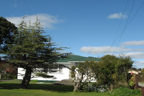 Photo of property in 19 Blackwell Street, Marton, 4710