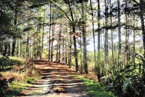 Photo of property in 154 Garbolino Road, Mangawhai, Kaiwaka, 0573