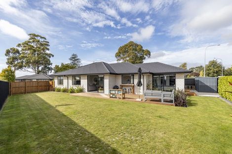 Photo of property in 24 John Raven Lane, Woodend, 7610