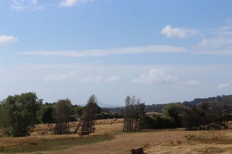 Photo of property in 45 Murphys Park Drive, Flat Bush, Auckland, 2019