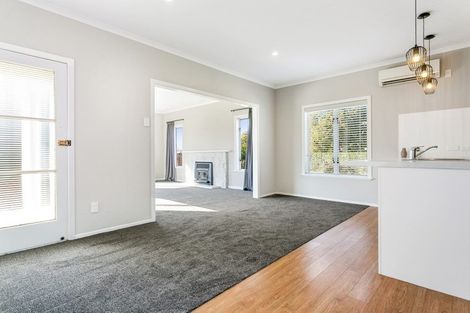 Photo of property in 49 Burwood Road, Matamata, 3400