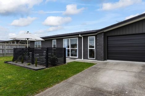 Photo of property in 87 Hinemoa Street, Levin, 5510