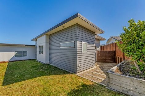 Photo of property in 124 John Burke Drive, Aotea, Porirua, 5024