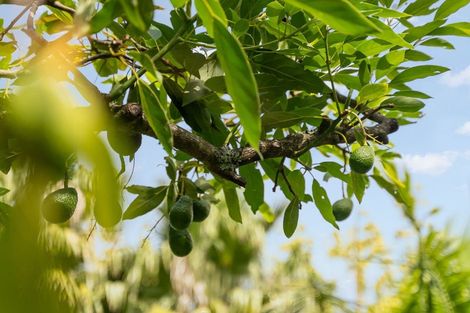 Photo of property in 124 Western Hills Drive, Kensington, Whangarei, 0112