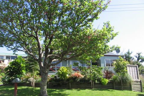 Photo of property in 11a Wellesley Grove, Gate Pa, Tauranga, 3112
