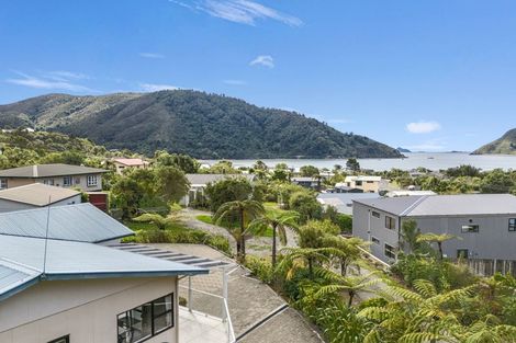 Photo of property in 11 Field Terrace, Okiwi Bay, French Pass, 7193