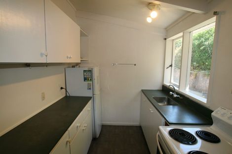 Photo of property in 28d Cornhill Street, North East Valley, Dunedin, 9010