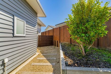 Photo of property in 124 John Burke Drive, Aotea, Porirua, 5024