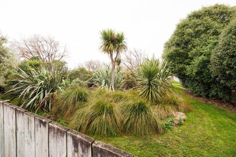 Photo of property in 17 Saturn Crescent, Milson, Palmerston North, 4414