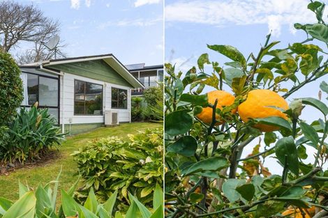 Photo of property in 6 Walnut Grove, Omokoroa, 3114