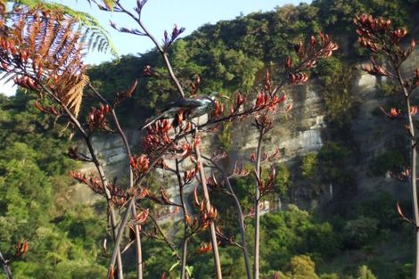 Photo of property in 61 Glasseye Drive, Little Wanganui, Karamea, 7893