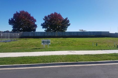 Photo of property in 41 Hanlow Place, Pyes Pa, Tauranga, 3112