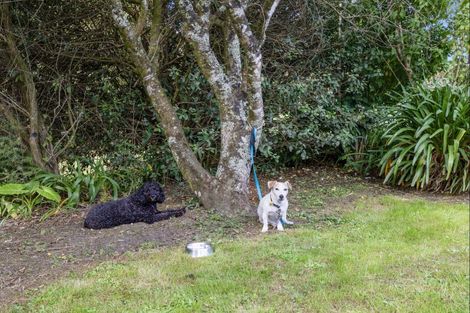 Photo of property in 303 Gibbons Road, Kaiwaka, 0573