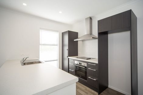 Photo of property in 9a Martin Street, Fairfield, Hamilton, 3214