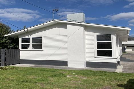 Photo of property in 55 Larnoch Road, Henderson, Auckland, 0610