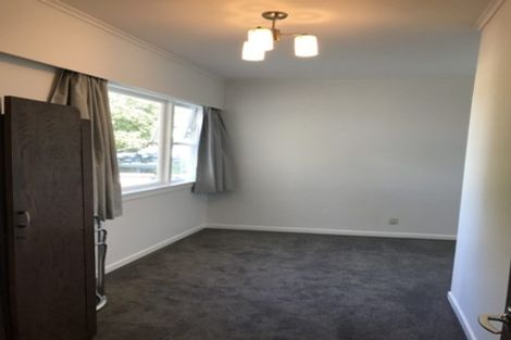 Photo of property in 1/245 Adelaide Road, Newtown, Wellington, 6021