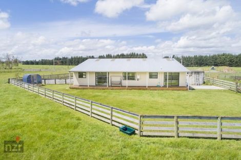 Photo of property in 1107 Taonui Road, Colyton, Feilding, 4775