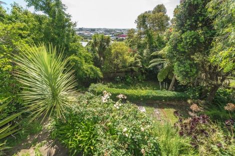 Photo of property in 64 Hipango Terrace, Durie Hill, Whanganui, 4500