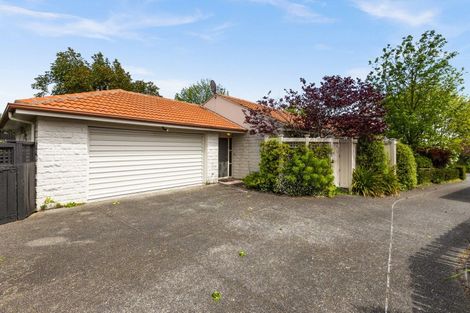 Photo of property in 8a Mchardy Street, Havelock North, 4130
