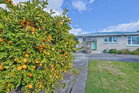 Photo of property in 23 Upham Street, Havelock North, 4130