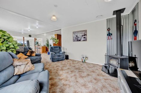 Photo of property in 52 Wallscourt Place, Normanby, Hawera, 4614