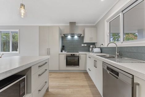 Photo of property in 82 Willoughby Street, Halcombe, 4779