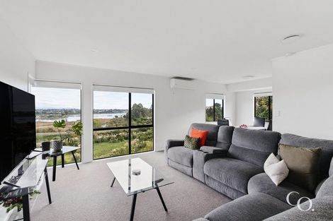 Photo of property in 63a Ohauiti Road, Hairini, Tauranga, 3112