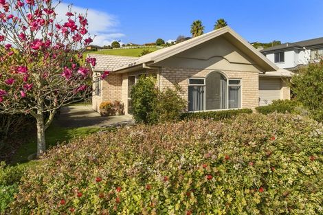 Photo of property in 238 Castlewold Drive, Bethlehem, Tauranga, 3110