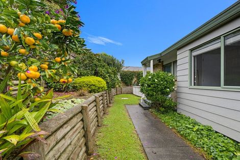 Photo of property in 10 Dunrobbin Place, Gate Pa, Tauranga, 3112