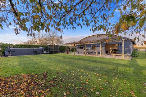 Photo of property in 88 Hopkins Road, Matamata, 3472