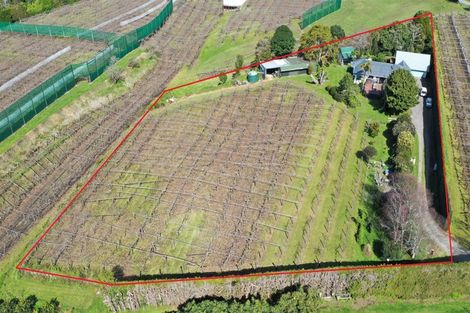 Photo of property in 591 No 3 Road, Te Puke, 3183