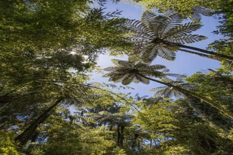 Photo of property in 425b Lund Road, Aongatete, Katikati, 3178