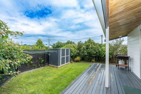 Photo of property in 94 Derby Street, Feilding, 4702