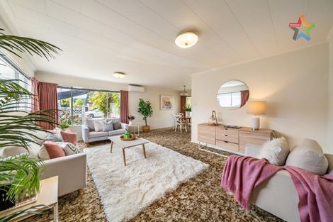 Photo of property in 48 Kings Crescent, Hutt Central, Lower Hutt, 5010