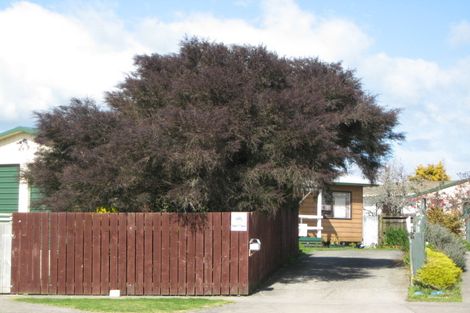 Photo of property in 19 Hotene Street, Whakatane, 3120