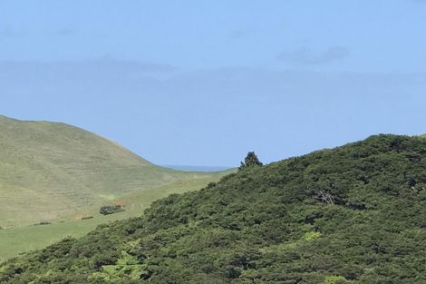 Photo of property in 1809 Whaanga Road, Raglan, 3296