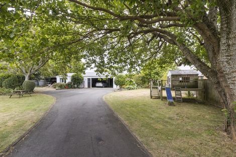 Photo of property in 54 Lincoln Street, Ashhurst, 4810