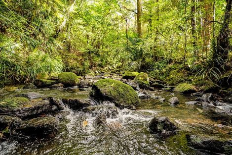 Photo of property in 73 Weka Lane, Okaihau, 0475