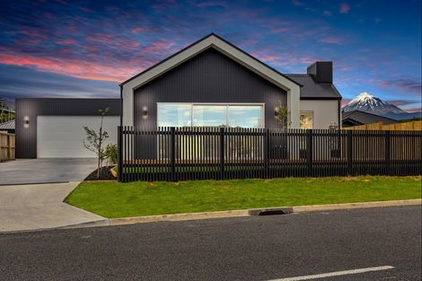 Photo of property in 409 Frankley Road, Ferndale, New Plymouth, 4310