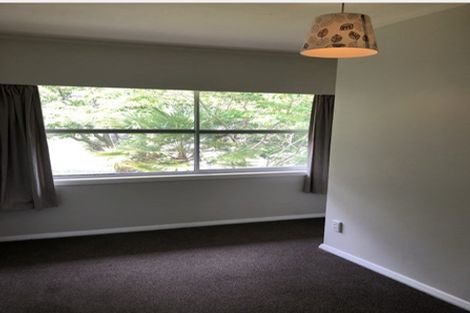 Photo of property in 43 Mayfair Crescent, Mairangi Bay, Auckland, 0630