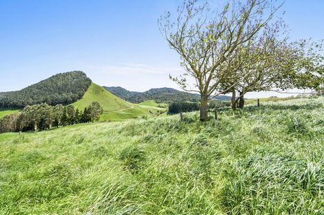 Photo of property in 153 Makgill Road, Maungatautari, Cambridge, 3494