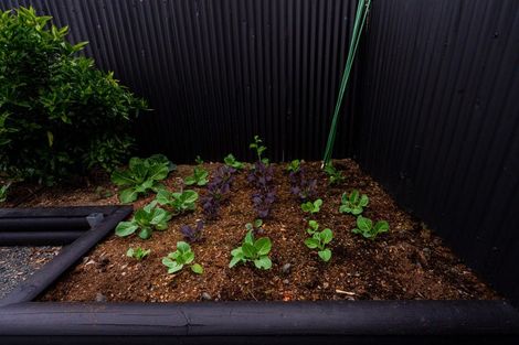 Photo of property in 28 Mahi Road, Te Kauwhata, 3710