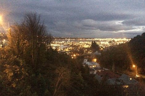 Photo of property in 20 Lachlan Avenue, North Dunedin, Dunedin, 9016