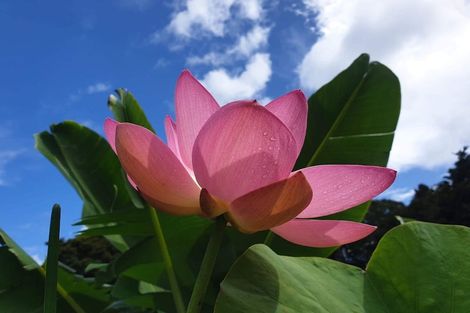 Photo of property in 304 Mangakahia Road, Maungatapere, Whangarei, 0179