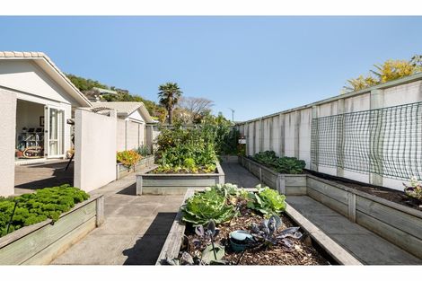 Photo of property in 137 Carlton Street, Bellevue, Tauranga, 3110