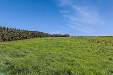 Photo of property in 302 Otaraoa Road, Motunui, Waitara, 4383