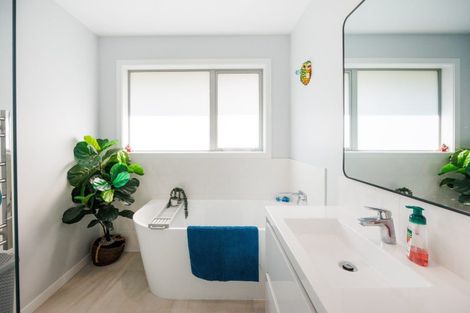 Photo of property in 163a Denbigh Street, Feilding, 4702